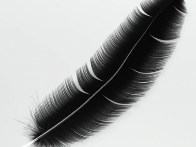 Pégasus Negro